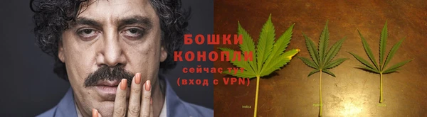 ГАЛЛЮЦИНОГЕННЫЕ ГРИБЫ Алзамай