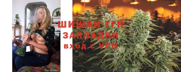 ГАЛЛЮЦИНОГЕННЫЕ ГРИБЫ Алзамай