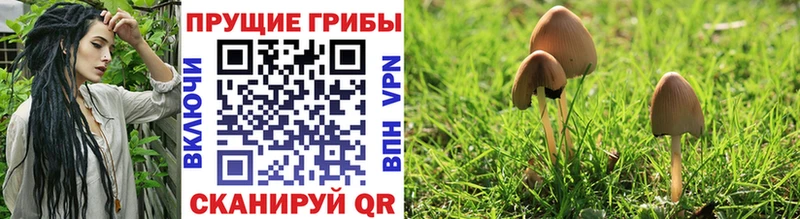 Галлюциногенные грибы ЛСД  Каменка 