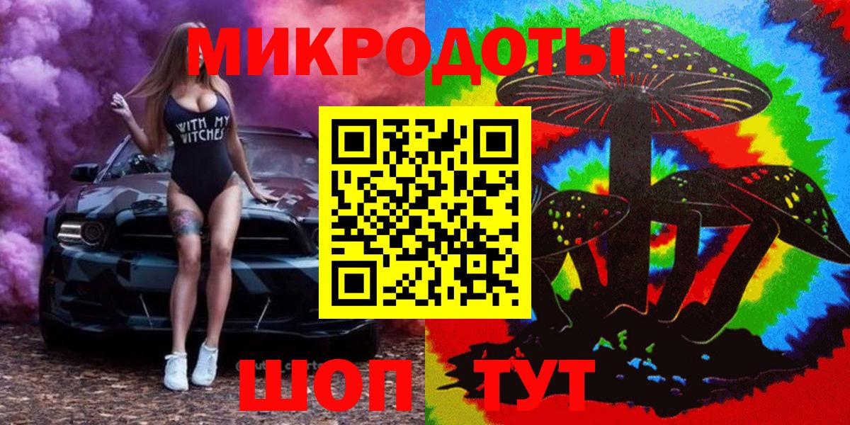 Псилоцибиновые грибы Psilocybe  купить закладку  Каменка  Вход с VPN 