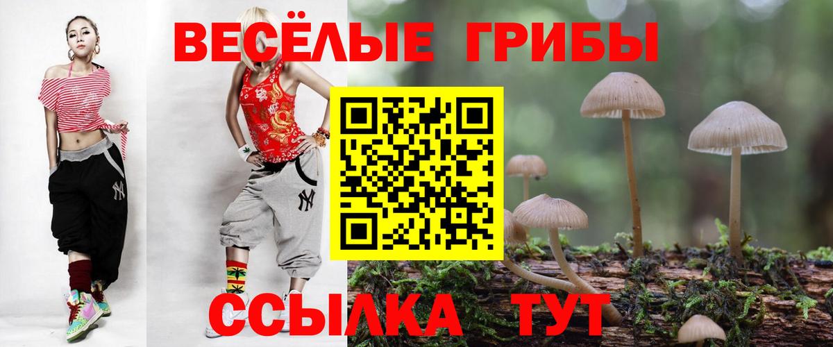 Псилоцибиновые грибы Psilocybe Каменка